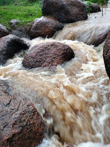 Behtrin images.com
