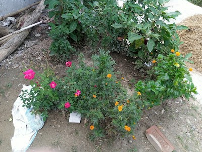 Kansi Durga Mandir