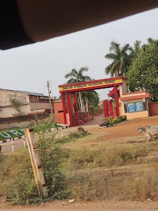 Delhi Public School, Durg