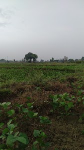 Kachra