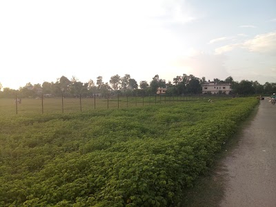 Birendra Ground