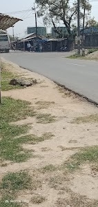 Modhubon tinali