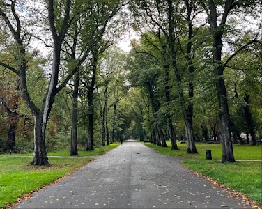Alexandra Park