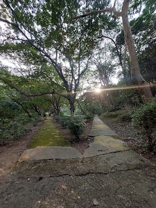 Botanical Garden