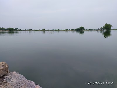 Syar Bus Stop