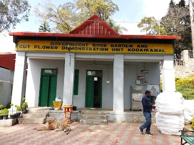 Government Rose Garden , Kodaikanal