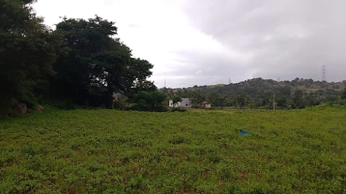 Belagumba