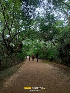 Sheikh Sarai