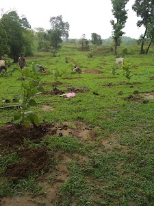 Uttar Pradesh Forest Office