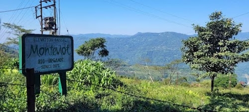 Montiviot Tea Garden