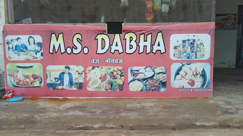 M.S.Dhabha