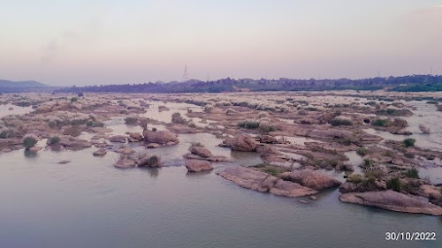 Turiyo Basti
