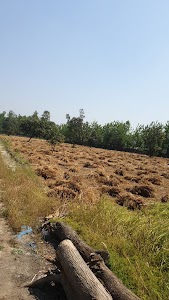 Dilshad Raaz Garden