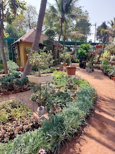 Jaisalmeria Horticulture Nursery