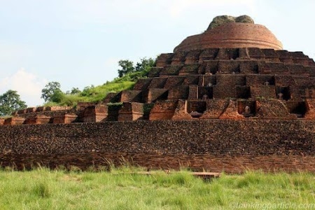 Chakia
