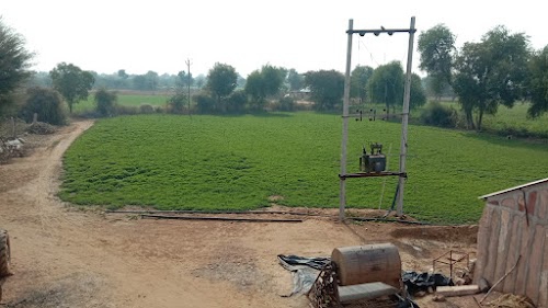 Sultansingh bhomiyaji agriculture farm Bada Nagar