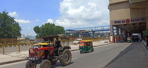 Sector 28