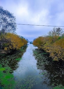 Amda Kadal