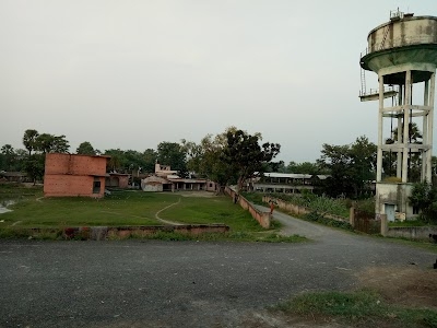 Bangri School