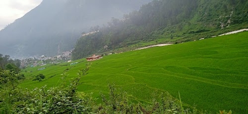 Ladari