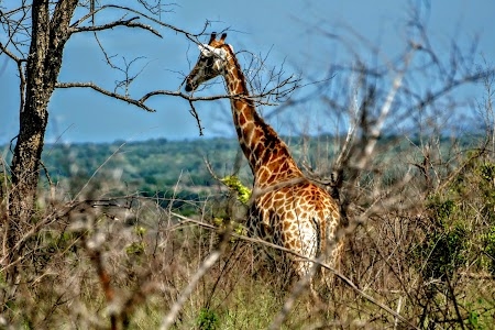 Kruger National Park