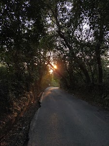 Chandrothi