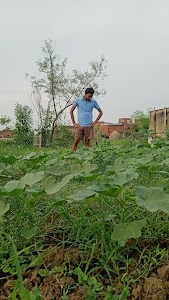 janeshwar aata chakki