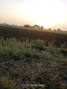 Berodi