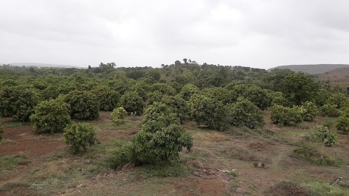 Shree Ram Nursery
