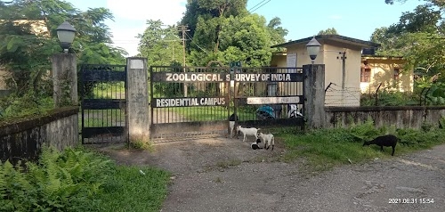Zoological Survey Of India, Itanagar