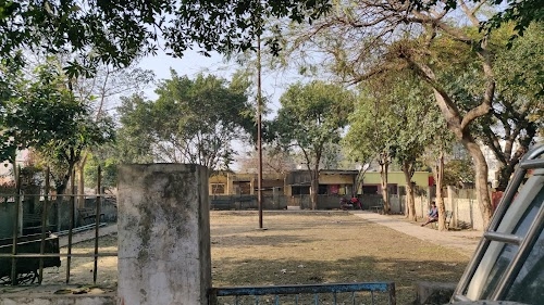 Colony Park