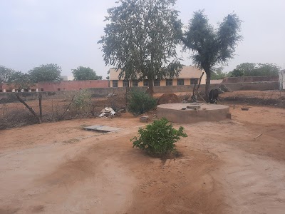 Kerlibas