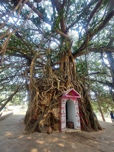 Til Bhandeshwar Shib Mandir, Shivdangi, Malda.