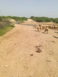 Bhogadeet