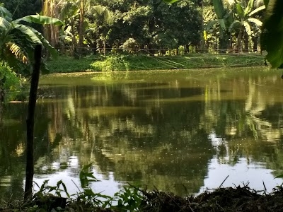 Serampore Biovision Agro Pvt. Ltd.