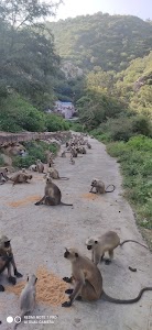 Naiyon Ki Dhani