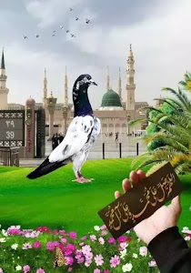 Haji G WALI MASJID