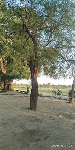 Kalitala-diar