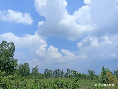 Mavaipadhiyana