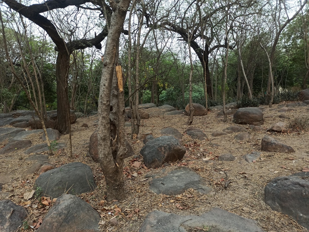 Bhuli Bhatyari Park