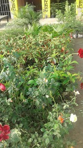 Bhadana