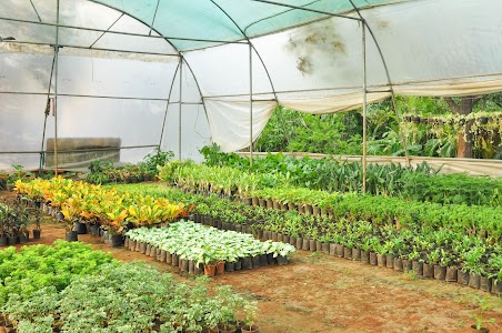 New Garden Gurus Farms and Nursery