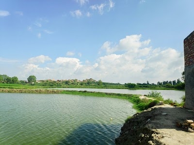 Mewat Fish Seed Farm Kalinger