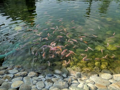 Fish World, Sopnopuri