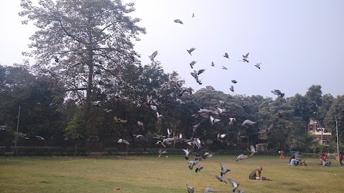 Sector 5, Pushp Vihar