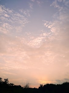 Radhanagar