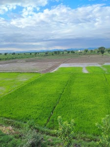 purkazi