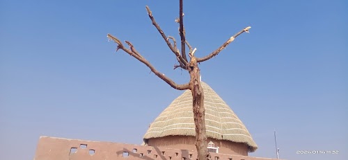 Raisar Desert Camp