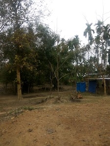 Makaria