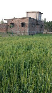 Bimalpara I